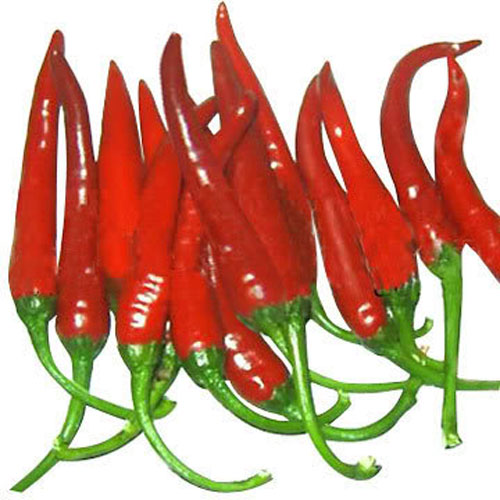홍고추/Red hot pepper 100g