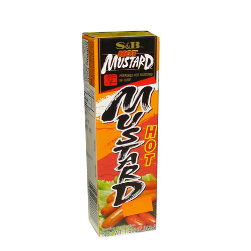 S&B Hot Mustard in Tube 40g